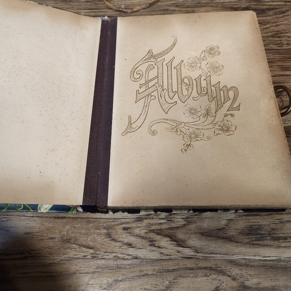 Vtg Victorian Lady & Man CELLULOID PHOTO ALBUM Scrapbook Velvet  Gold Hardware - Picture 10 of 16